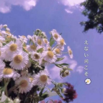 （背景图）好好生活，慢慢相遇（星空）