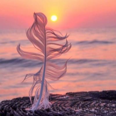 「余生」:万物复苏