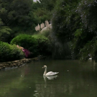 顾云曦.清新干净绿色系背景图