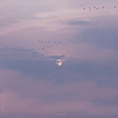 背景图 今日份好运 唯美 小清新