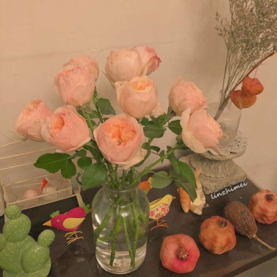 沐糖/独特创意唯美简约可爱文艺聊天壁纸