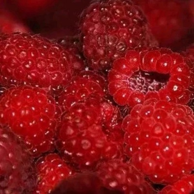 唯美风景静物头像 允言