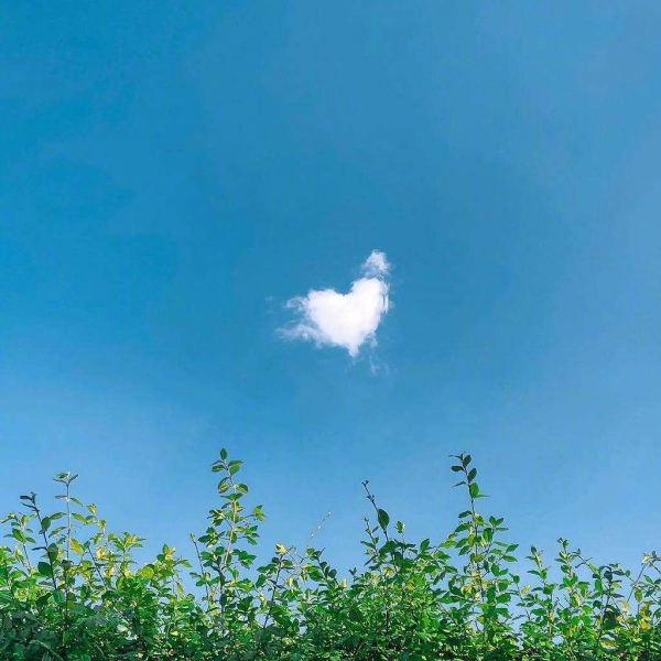 蓝色小清新/天空/风景/头像背景图/好天气 ​ ​​​