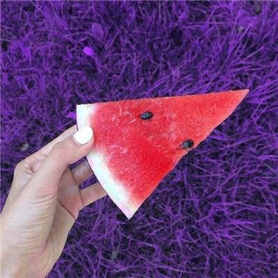 风景静物头像 背景图