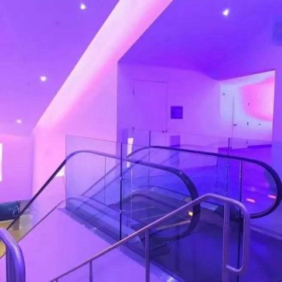 樱奈：唯美风紫色系背景图