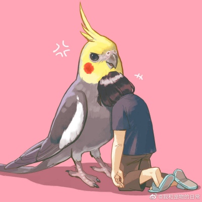 INS上的大佬画的啾啾们/林芙/图源网络侵权致歉