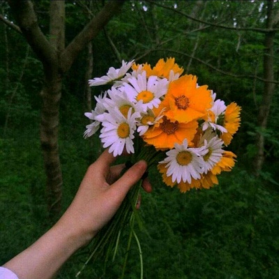 允言/唯美花朵/人和人的吸引力都来自于 没看透