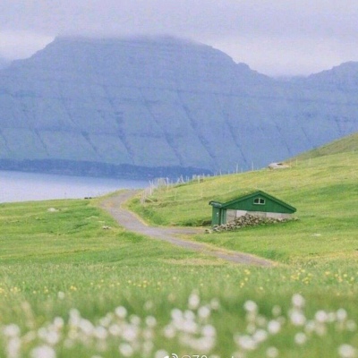 江奕/唯美绿色治愈系小清新背景图/他喝酒总哭说没你才叫输