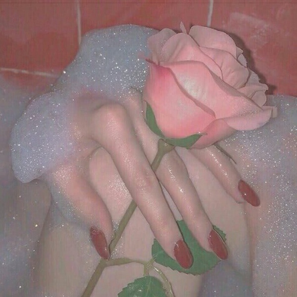 小梦/玫瑰带来的除了爱  还有伤害