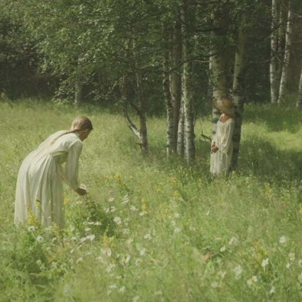 阿兴：Green  背景图