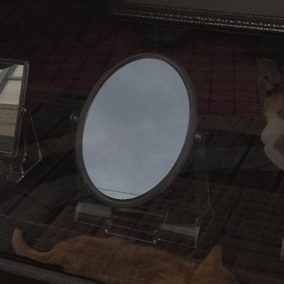 冷意暗色风景图背景图