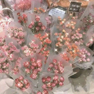 江奕/唯美花朵背景图/拨云见日不见你，未来可期你难遇。