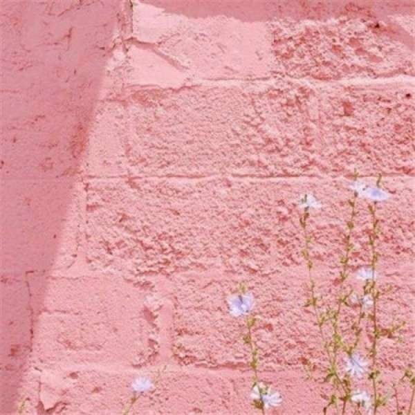 顾羽书.  粉色系唯美背景