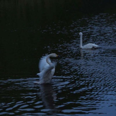 白灏宇:风景静物头像/唯美/孤独/路人走过云下 爱情披风沙.