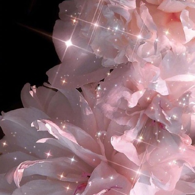 背景壁纸 | ins风，阳光灿烂的早晨唯有白色让人心安