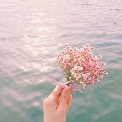 好看小清新风的静物头像   时光风靡不了的蹉跎