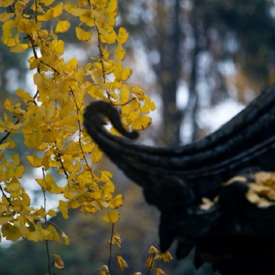 念七 秋天的童话