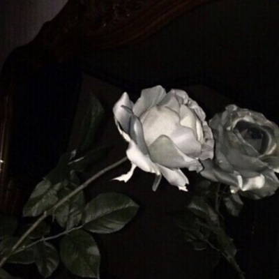 林知晚  ins唯美超火暗色系背景图