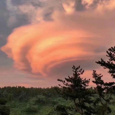 莫稚♡ 春水初生 春林初盛 春风十里 不如你。