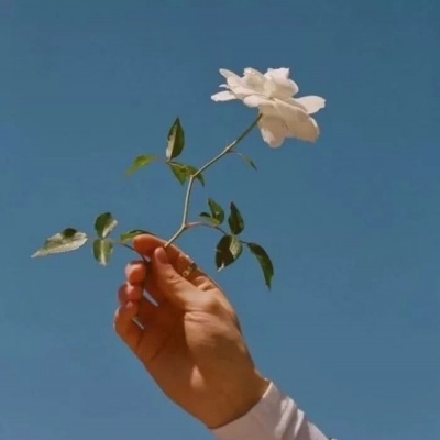 柠七：原宿风风景静物头像