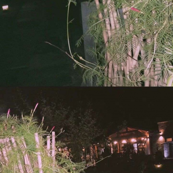 顾羽书.  故地重游看的不是风景,而是风景中的你