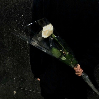 苏瓷:高冷黑色系背景 简约 静物 高冷