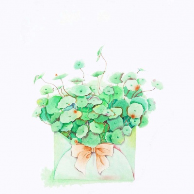 生活就像果子五彩缤纷，有了阳光画儿都鲜活起来。―崔子慢小清新手绘