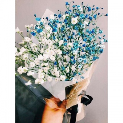 稚七/迷你花束/满天星