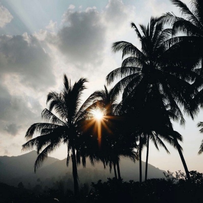 肆栗:微信背景图/可能明知你是火海我还是会纵身一跃