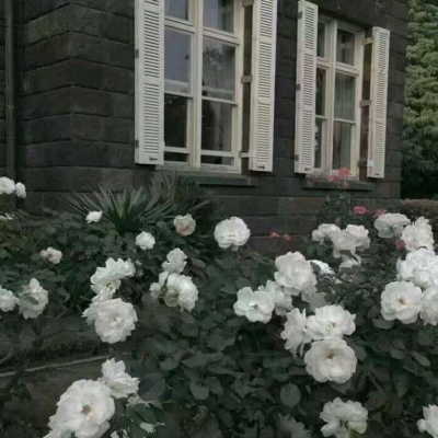 林之煜☆黑白光影