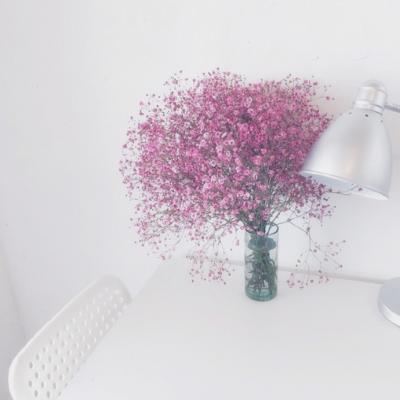 唯美简约小清新的静物头像精选 　你与清晨阳光