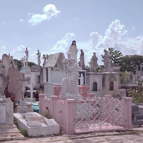 皆甜:唯美文艺背景图/我要当你唯一的骑士，把你宠成公主