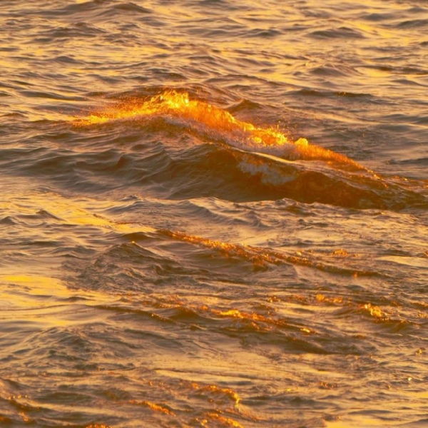 阿兴：优质背景图 满满金黄色