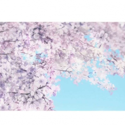 灾笑│治愈系图片│走到最后的一定是灾笑.