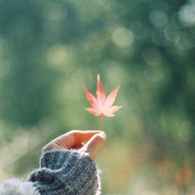 唯美风景头像图片大全高清      曾经那些美好的记忆