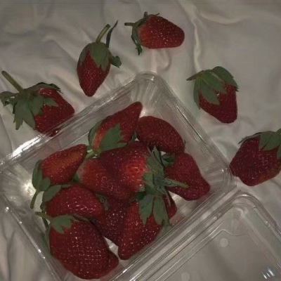 顾妍：背景图  ＂望尽星辰，梦里是你＂