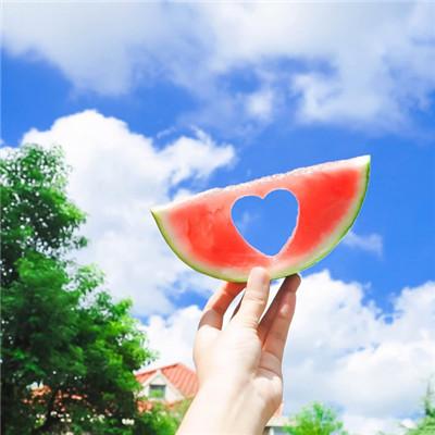 清新淡雅的风景静物头像  久居深海蓝透人心