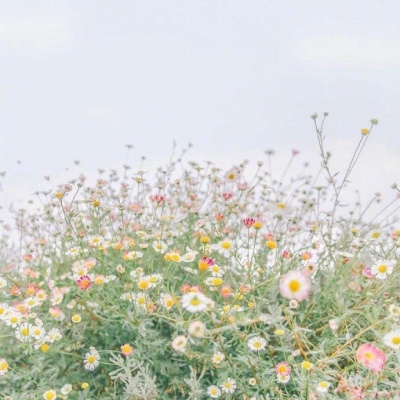 沐糖/马卡龙系色的建筑风景图北欧风