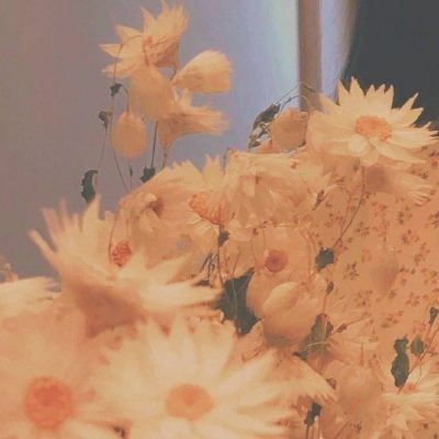 十里：花朵头像    似星非星 光芒灿烂