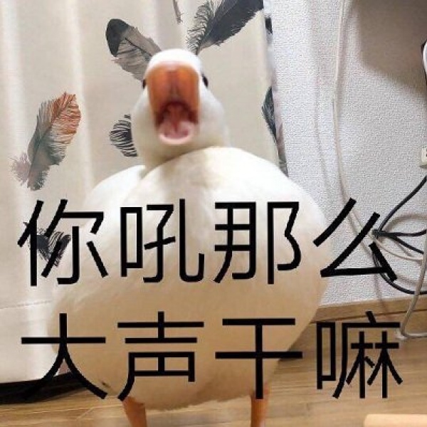 念七 鹅鹅鹅