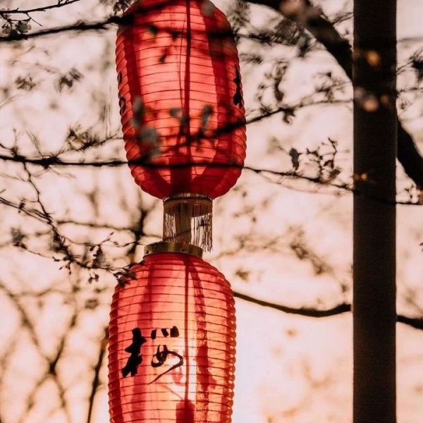 活在这世上，风景美丽，晚风温柔