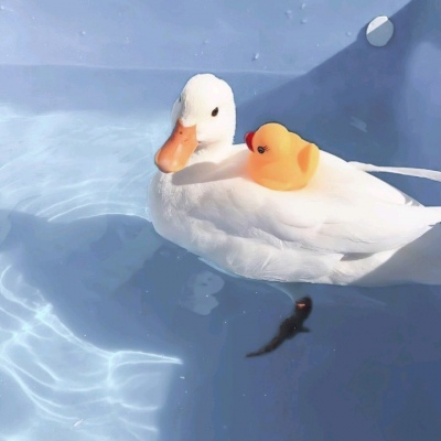 苏苡冉.清新干净浅蓝色背景图