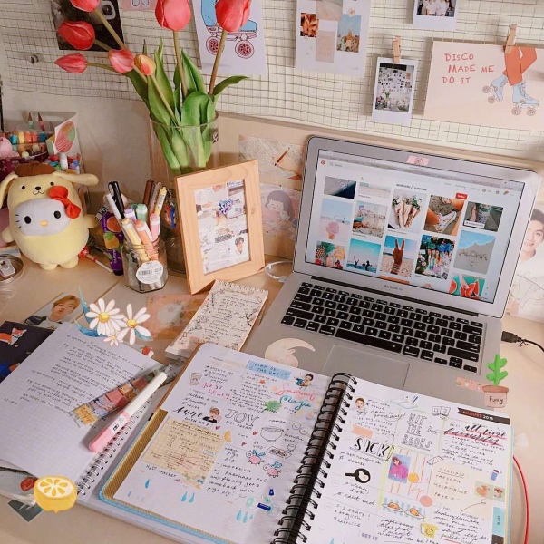 阿兴：少女心爆棚的书桌