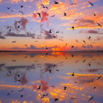 甜词  唯美意境背景图  夕阳