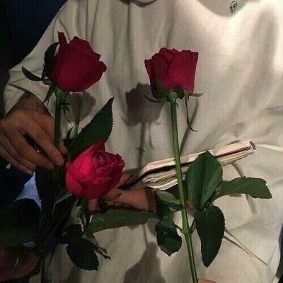 十二：我要送你99朵玫瑰花