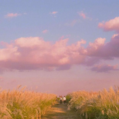 唯美秋景/头像背景图/是秋天的天空呀