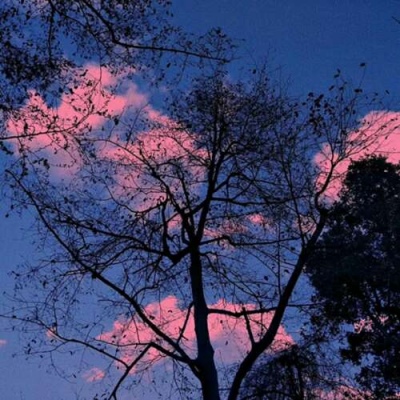 蓝色系美图/头像  苦尽甘来定不负生而善之