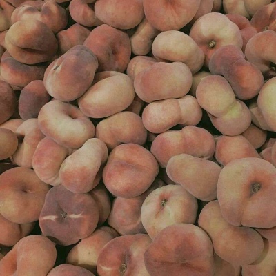 林之煜☆背景图