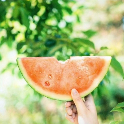 白灏宇:风景静物头像/绿色/花朵/夏日/唯美/小清新