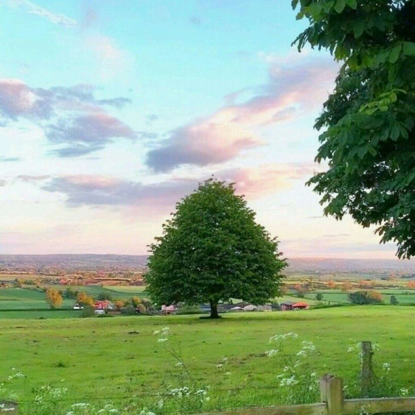 冷澈:ins唯美仙气背景图